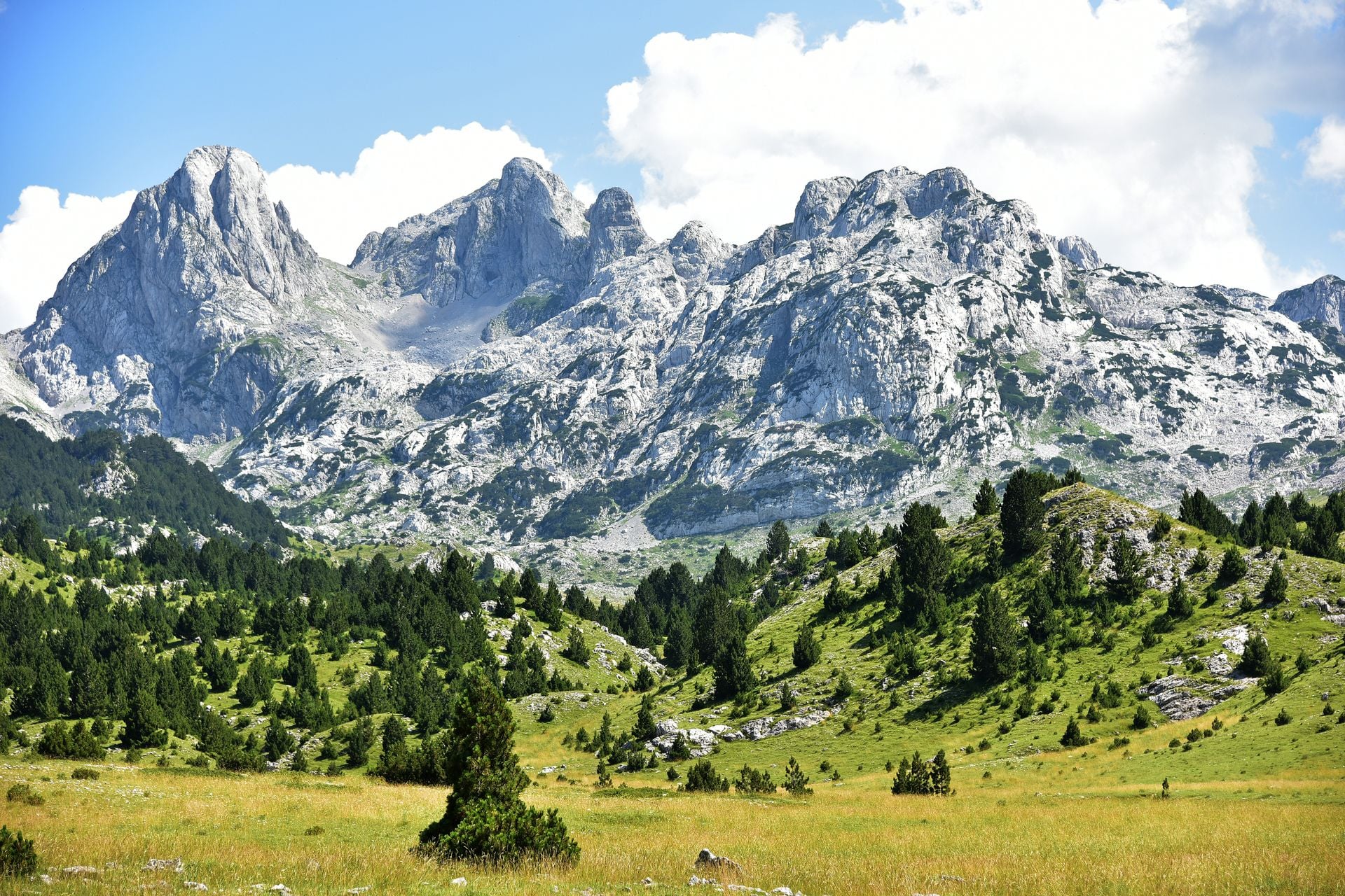 Walk the Kelmend pastures above Lëpushë before the flocks come down