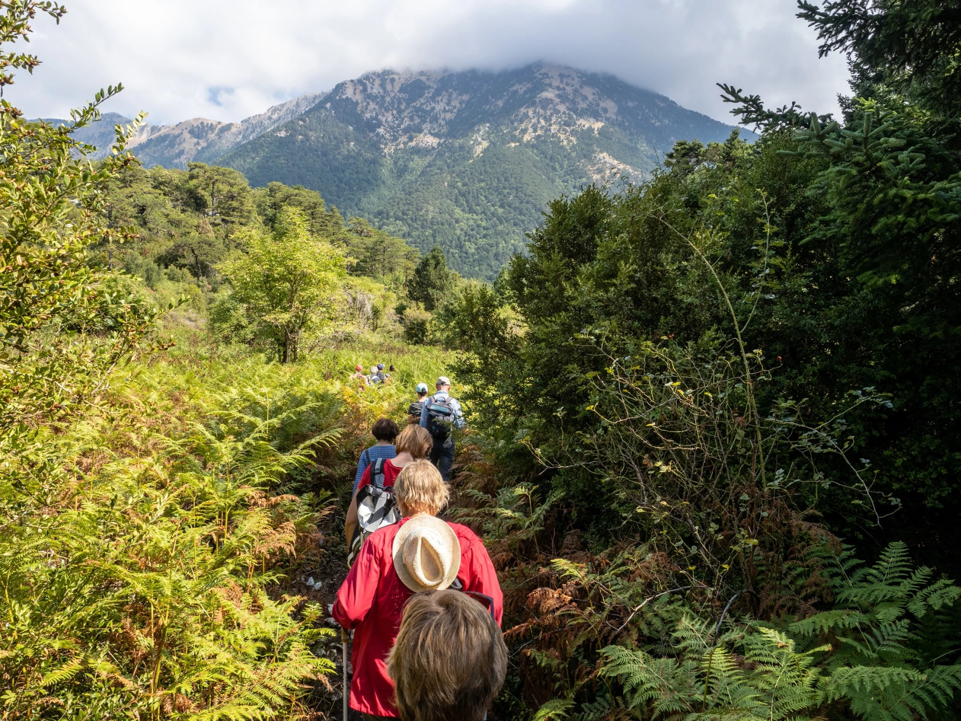 National Park Llogara
