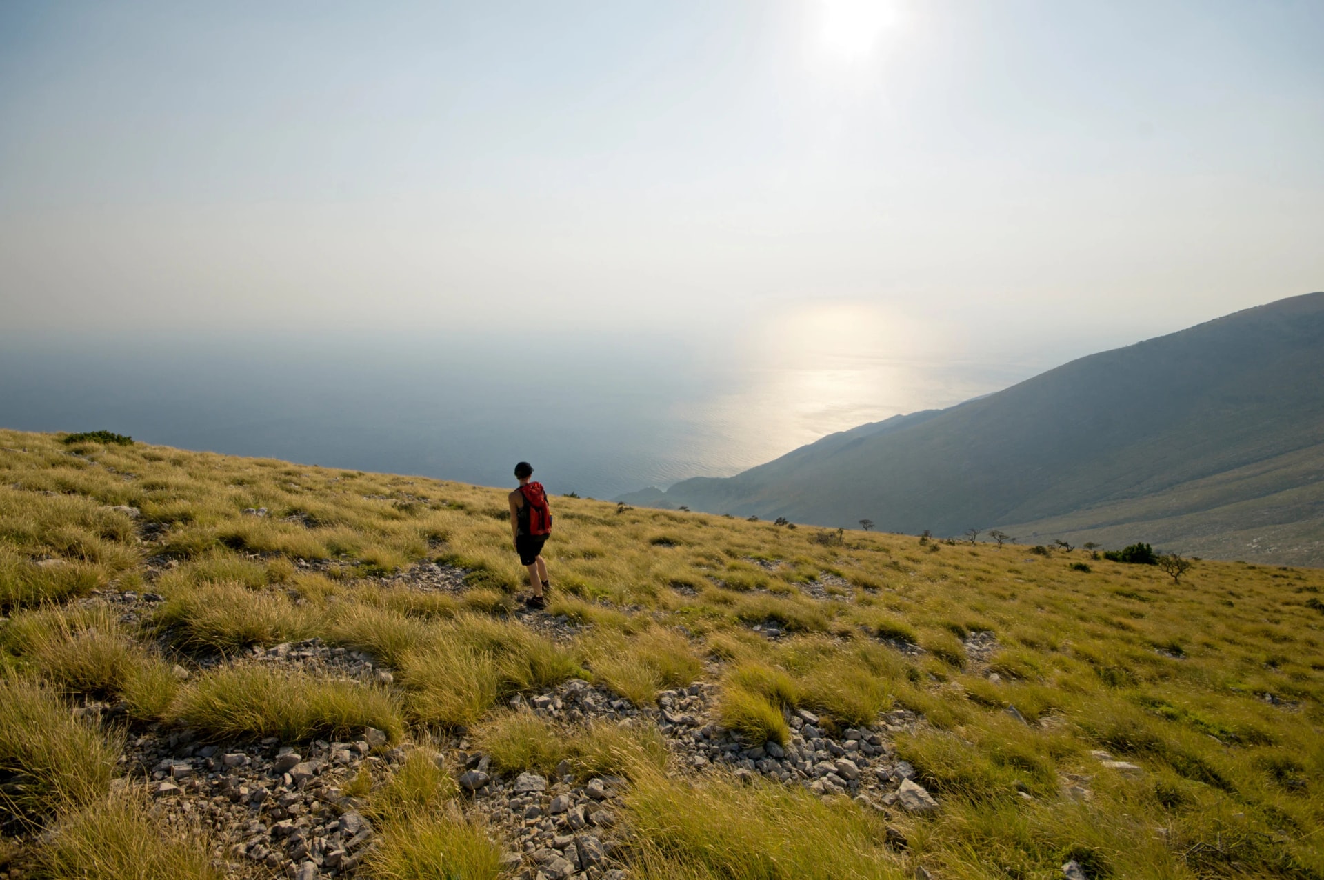 die Wanderin