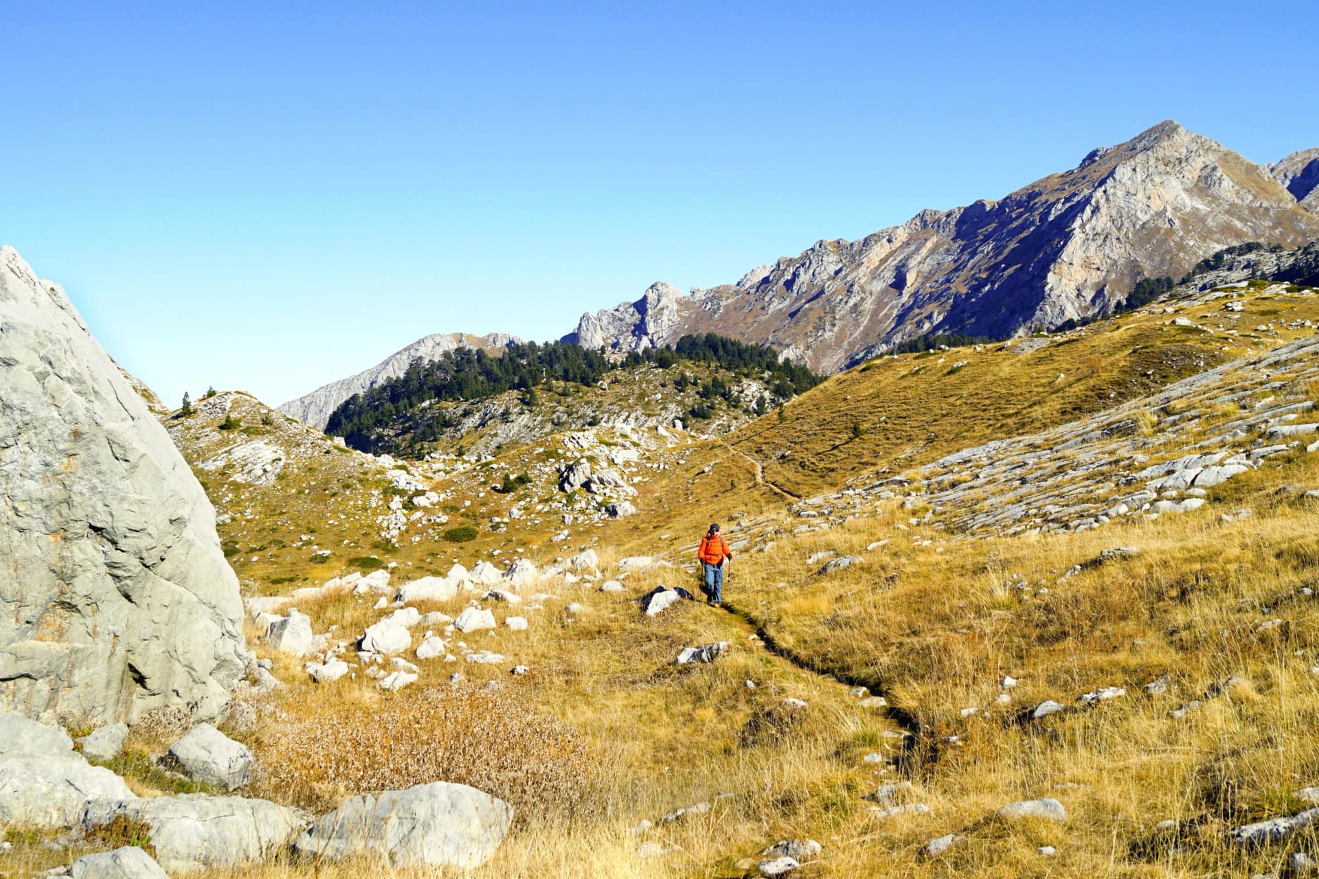 Active recreation in Albania: a man with hiking poles walks along a trail in a mountain valley (Buni i Jezerces, Prokletije National Park). Tourist hiking in the North Albanian Alps on a sunny day
