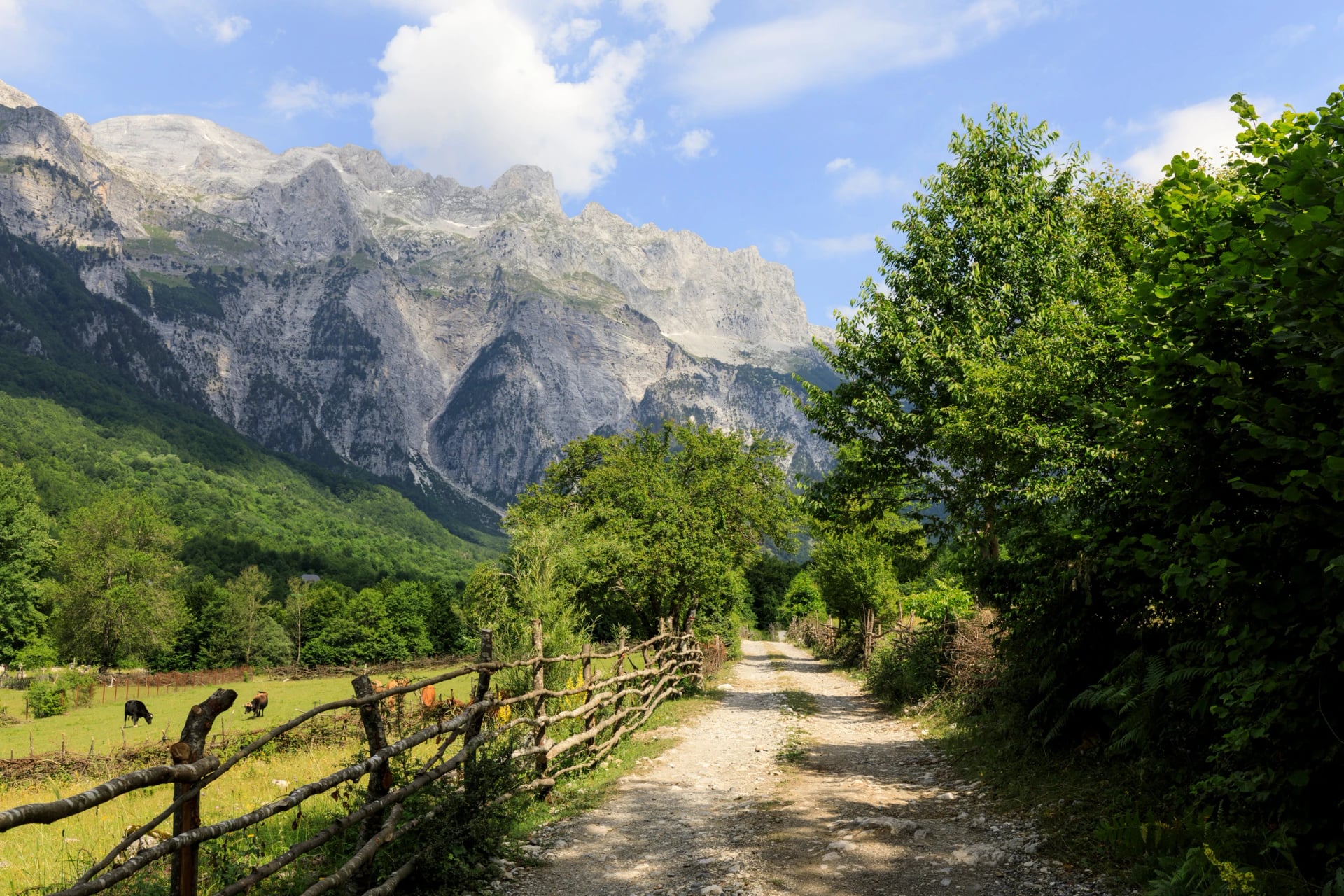 A dirt track through the Theth valley