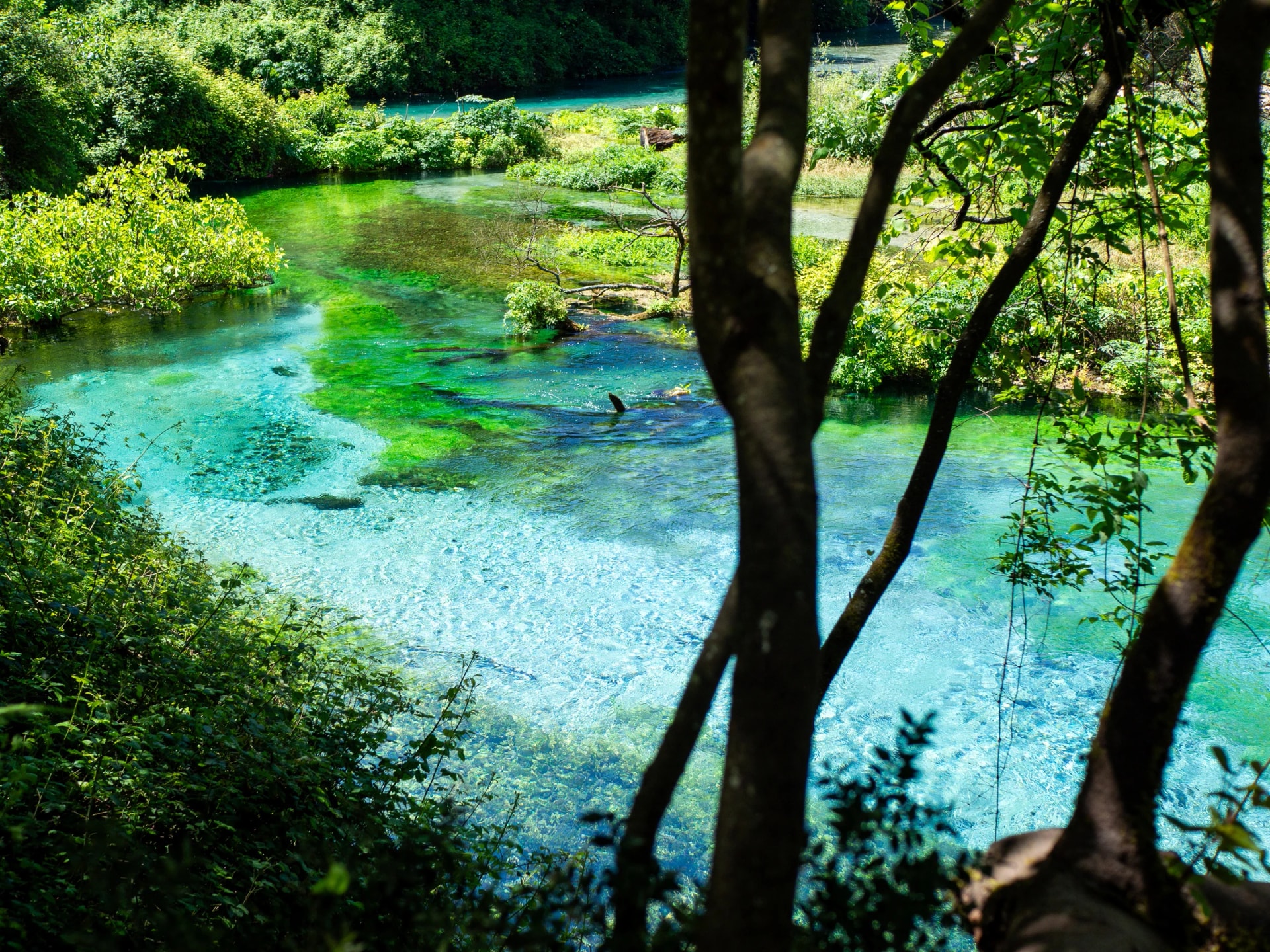 Blue Eye, Albania: Exceptionally Clear Turquoise Water in National Park